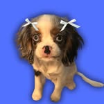 cutencozychlo profile picture