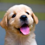 cutest profile picture