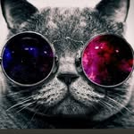 cutestanimalsvip profile picture