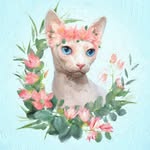 cutestlittlenudist profile picture