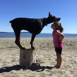 cutieandthebeast profile picture