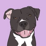 cuuurious_georgia profile picture