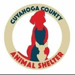 cuyahogadogs profile picture