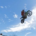 cy25mx profile picture