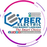 cyberelectricmalllarkana profile picture