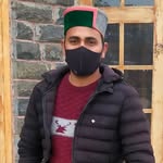 cycadlic_suri profile picture