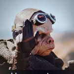 cyclegino profile picture