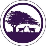 cypressgrovers profile picture