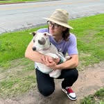 d4.carmichael profile picture