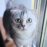 d_onlyjapanese profile picture