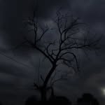 da.zzlingetc profile picture