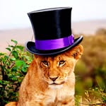 daddy_langston profile picture