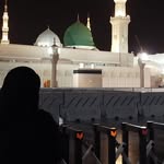 dagkusu_hatice profile picture