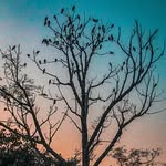 daily.lifeclicks profile picture