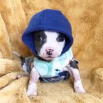 dailydoseof_carl profile picture