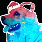 daily_dose_of_simcoe profile picture