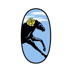 daily_sleeper profile picture