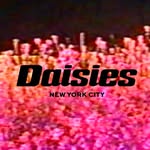 daisies_nyc profile picture