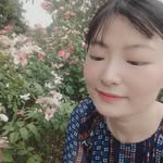daisy.caicai profile picture