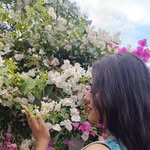 daisyblush.ugc profile picture