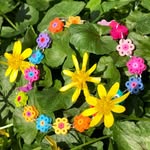 daisy__chains profile picture