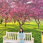 daisysawmte profile picture