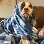 dajj63 profile picture