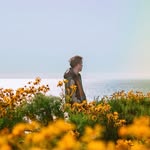daktyl profile picture