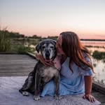 dallasanimalfoster profile picture