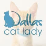dallascatlady profile picture