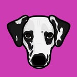 dalmatiannora profile picture