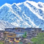 daltas_watan profile picture