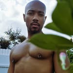 damidnightcowboy profile picture
