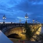 damienlml862 profile picture