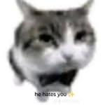 damnsnowy_ profile picture