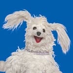 damn_zippy profile picture
