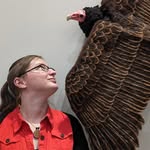 dancingvulturedesigns profile picture