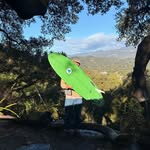 danedamus profile picture
