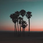 danhannfilms profile picture