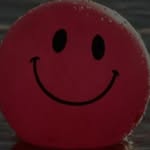dani.john.9480 profile picture