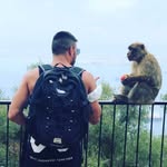 daniel.san89 profile picture