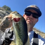 danielbisher profile picture
