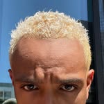 danieldartiste profile picture
