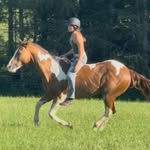 daniellesimonetti331 profile picture