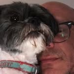 danielmccarty profile picture