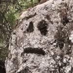 danielpshea profile picture