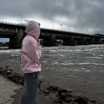 danielvoloshyn007 profile picture