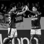 danilo_swz22 profile picture
