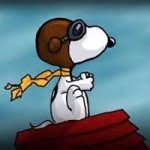 dano_mcshane profile picture