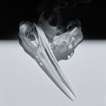 dantobinsmith profile picture
